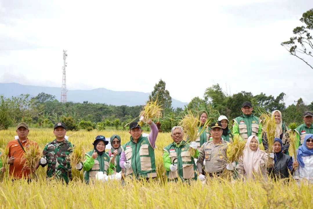 Panen Raya Padi Bersama Wali Kota Pagar Alam